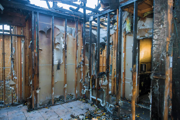 Professional Fire Damage Removal technician working in Riegelsville, PA